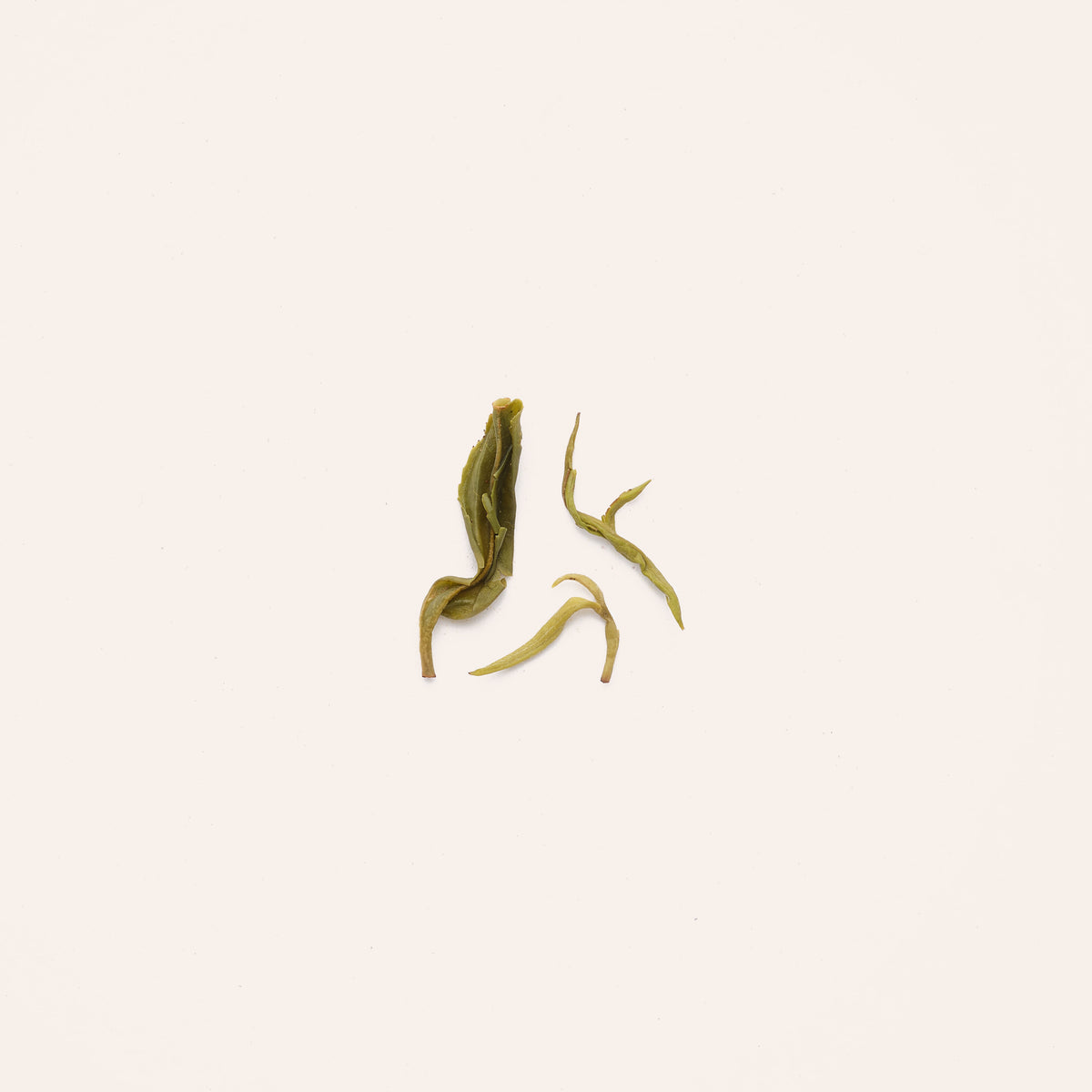 Spirit Tea | Morning Mist